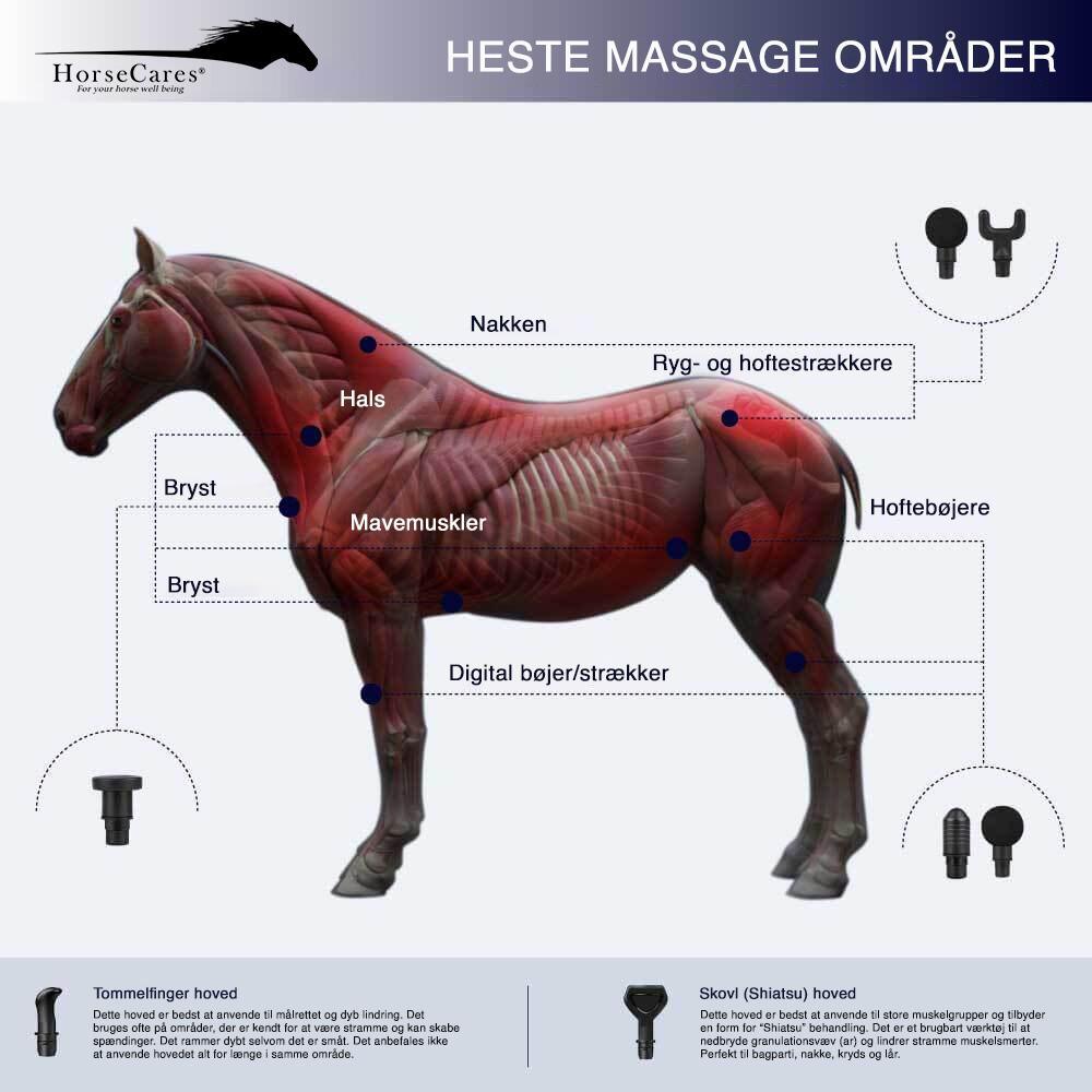 Pulserende massagepistol til heste - Horsecares.dk